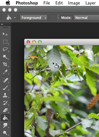 Screenshot of Adobe Photoshop CC